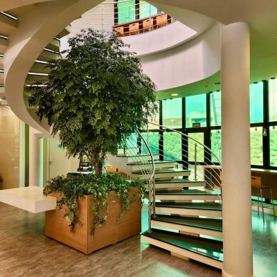 PLANTAS PERMANENTES